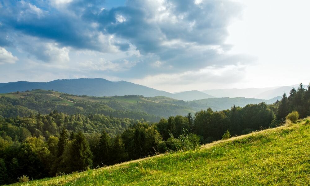 slnko osvetľuje lesy a prírodu