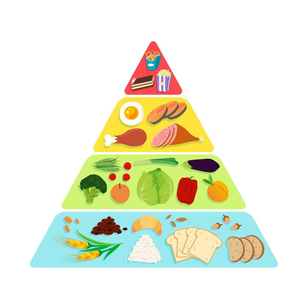 nutričná pyramída potravín