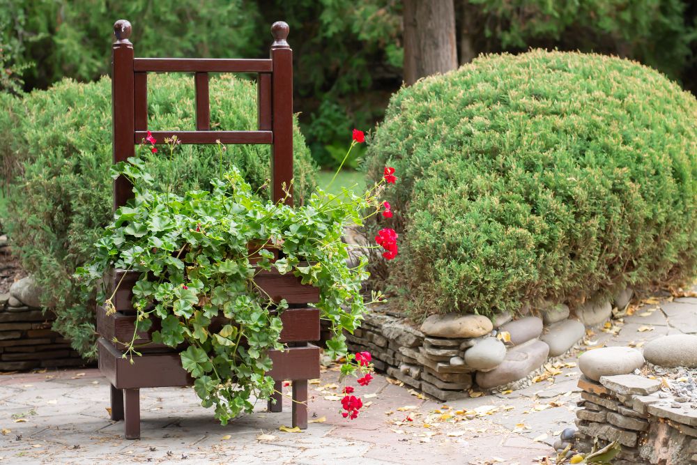 dekorácie s menším rozpočtom