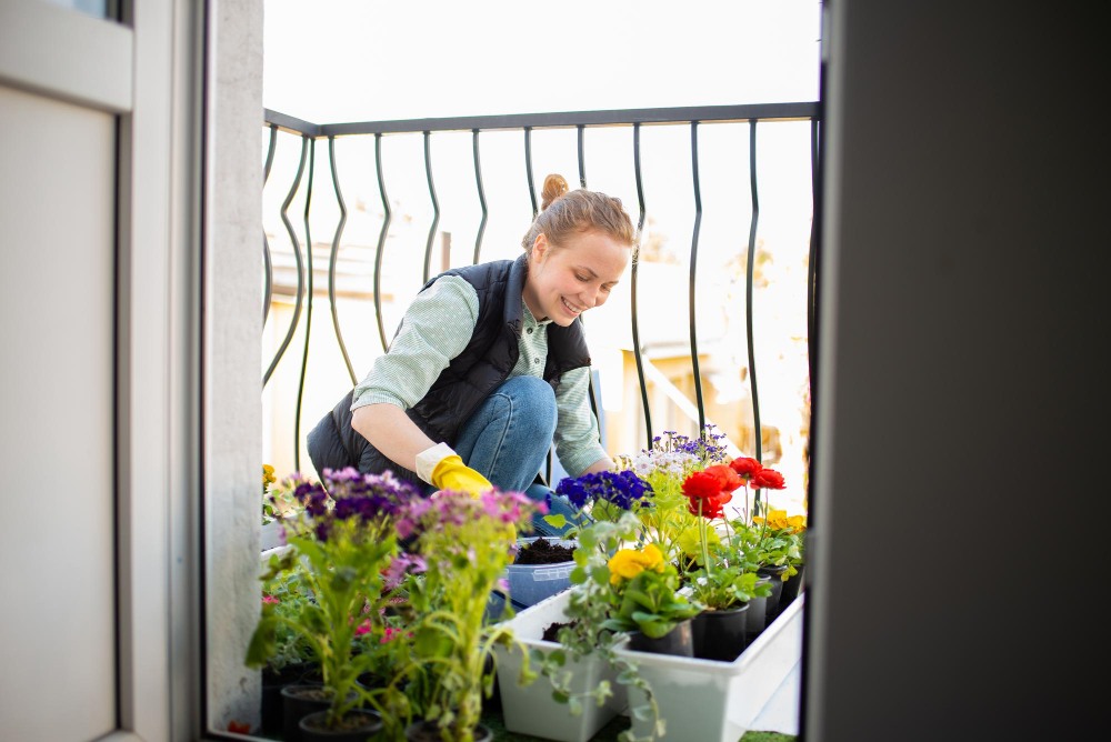 údržba kvetín na balkóne