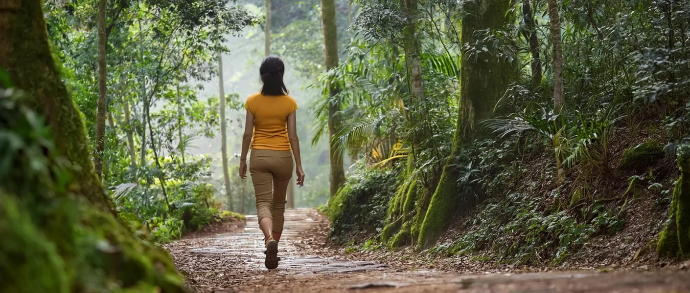 featured-forest-bathing