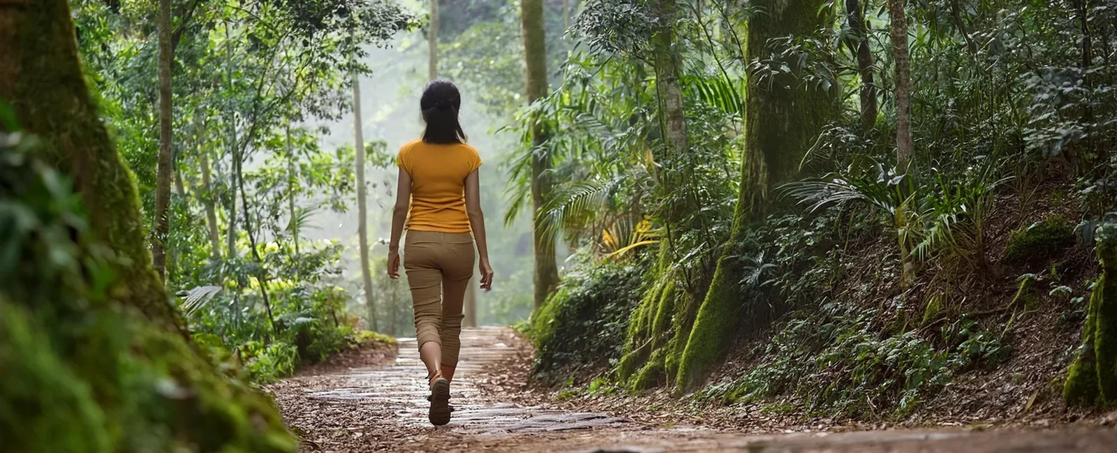 featured-forest-bathing