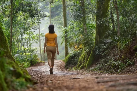featured-forest-bathing